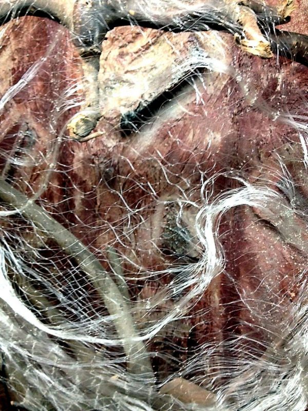 Nr.44 Netz 1,5x30 m,40 mm,Fischnetz,Spiegelnetz,3 Wandig,210D/3ply,Stellnetz.Neu – Bild 9