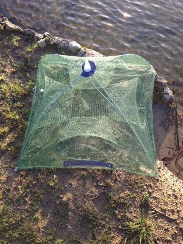 47,köderfisch senke,Reuse, krebs reuse,Senke klappbar,Klappsenke,4 Eingänge – Bild 3