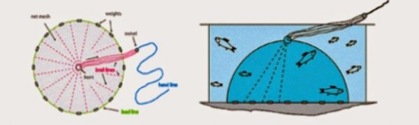 Nr.4, XL Durchm.3,66 m Wurfnetz Fischnetz Fischernetz Profi Wurfnetz Kastingnetz – Bild 6