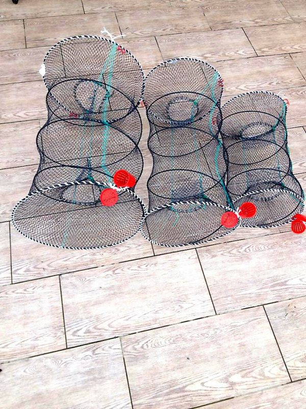 Fischreuse,Aalreuse,Krebsreuse,Köderfischreuse,Reuse + Köderdose! Top Preise! – Bild 4