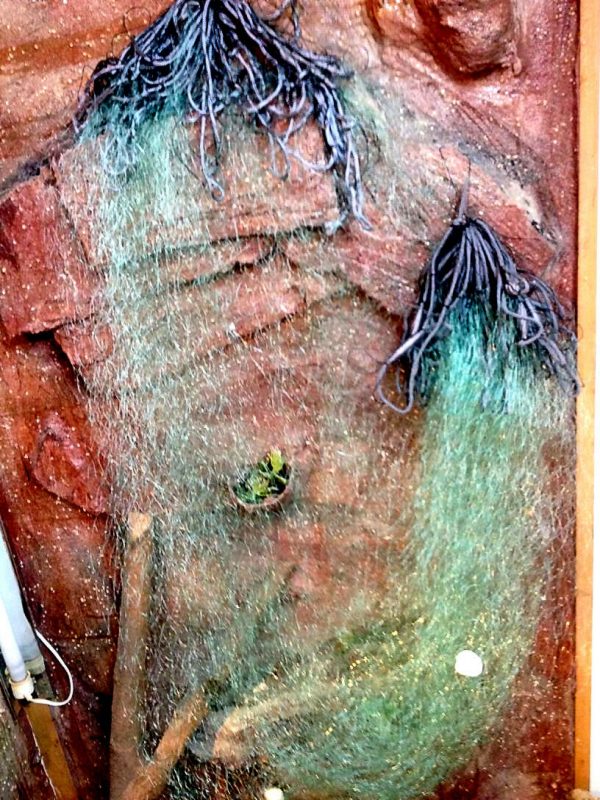 Stellnetz Fischnetz,Spiegelnetz,1 Wandig, Finland Netz 1,8x15 m,40 mm ,Grün.Neu! – Bild 6