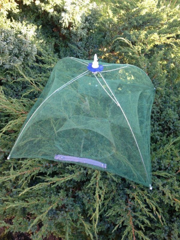 47,Luxus köderfisch senke,Reuse,krebsreuse,Senke klappbar,Klapp reuse,4 Eingänge – Bild 3