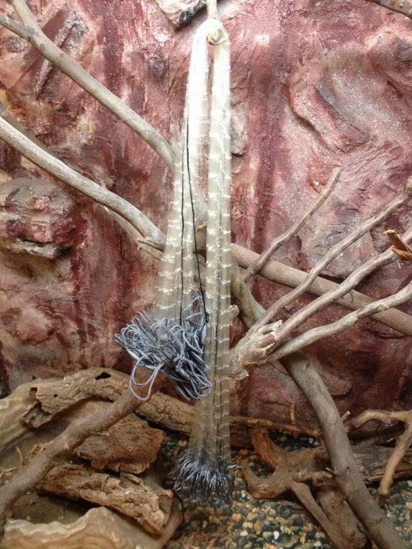 Nr.18,Stellnetz,Fischnetz,Spiegelnetz,3  Wandig, Angeln netz1,8x10 m,60 mm – Bild 8