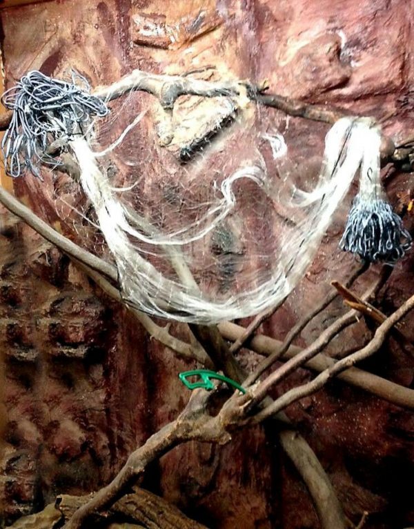 Nr.42 Netz 1,5x30 m,50 mm,Fischnetz,Spiegelnetz,3 Wandig,Stellnetz,Angelnetz.Neu – Bild 9