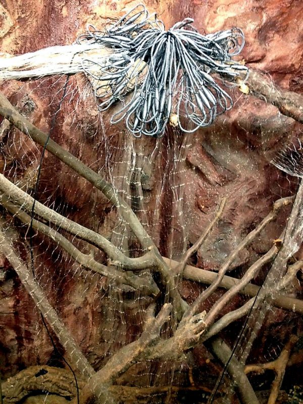 Nr.45 Fischnetz 1,5x30m,60mm,Angelnetz,Spiegelnetz,3 Wandig,210D/3,Stellnetz.Neu – Bild 4
