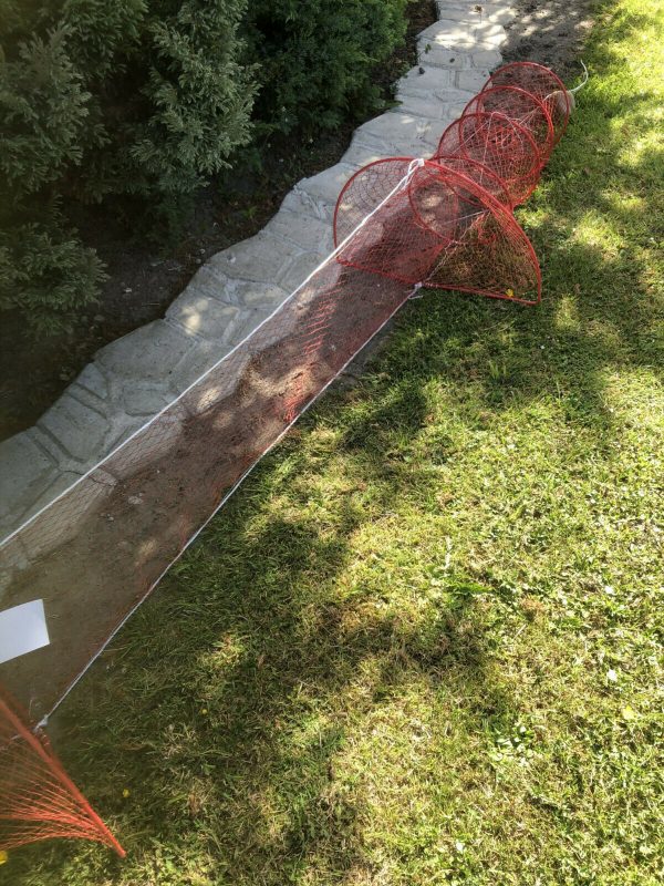 Nr.46 - Doppelreuse,fischreuse,reuse krebsreuse Aalreuse Fischnetz 3 Meter – Bild 12