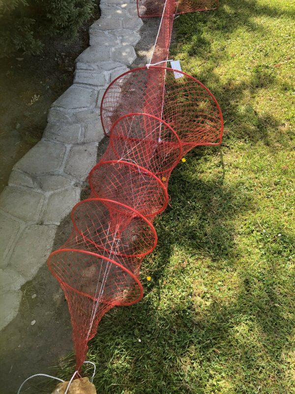 Nr.46 - Doppelreuse,fischreuse,reuse krebsreuse Aalreuse Fischnetz 3 Meter – Bild 4