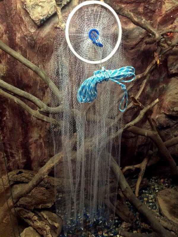 Nr.5, Fischnetz 3,05m Durchmesser, Cast Net,Wurfnetz, Profi-Wurfnetz Neues Model – Bild 4