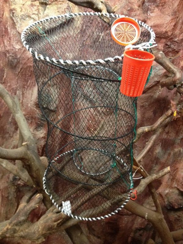 Fischreuse,Aalreuse,Krebsreuse,Reuse,Reuse +Köderdose,40 x 80cm,Top preis!