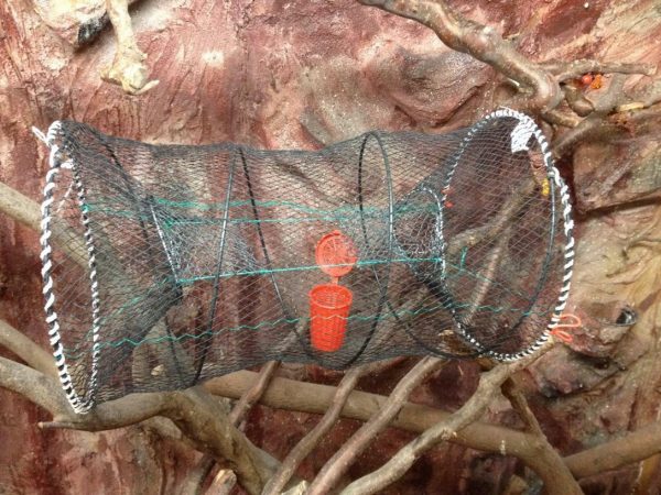 Fischreusen,Aalreusen,Köderfischreuse,Reusen,Reuse +Köderdose,40x 80cm,Top preis – Bild 7